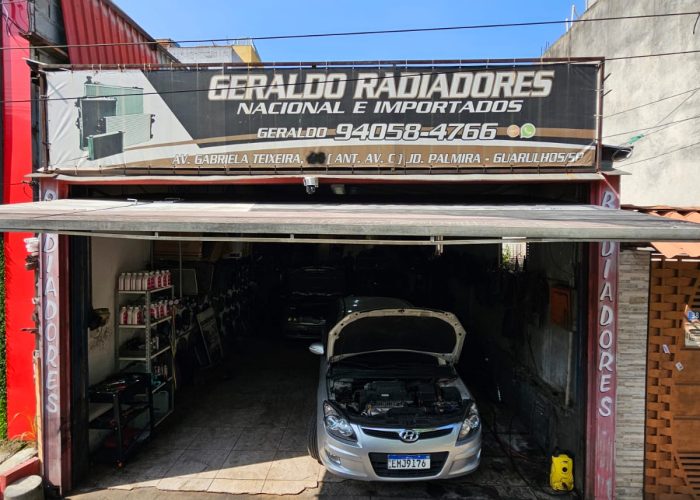 geraldo radiadores (8)